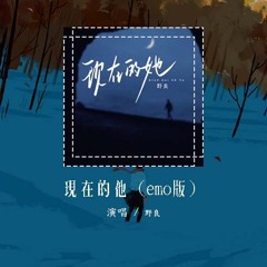 野良 - 现在的他 (emo版)「可现在的她 牵着谁回家」【動態歌詞/Lyrics Video】#野良 #现在的他 #動態歌詞