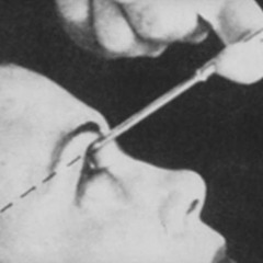 A Gentle Hum Grew To A Roar