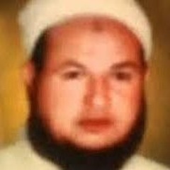 تفسير الشيخ ابراهيم عزت رؤية قرأنية فى سورة نوح