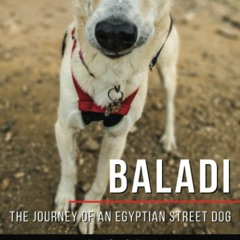 ⚡️DOWNLOAD$!❤️  Baladi The Journey of an Egyptian Street Dog