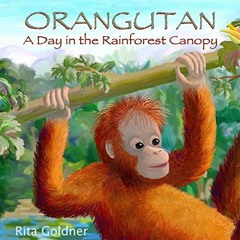 [Get] KINDLE PDF EBOOK EPUB Orangutan: A Day in the Rainforest Canopy by  Rita Goldner &  Rita Goldn