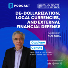 De-Dollarization, Local Currencies, And External Financial Defense