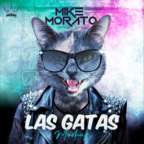 Stream Mike Morato - Las Gatas (Mashup) by Mike Morato | Listen online for  free on SoundCloud