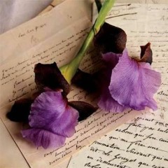 Orquesta Rodolfo Biagi y su cantor Andres Falgas - tanda vals