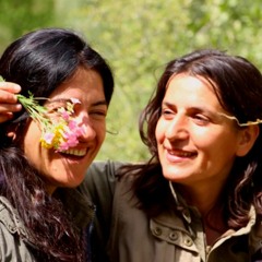 Ozlem û Bermal- Amara