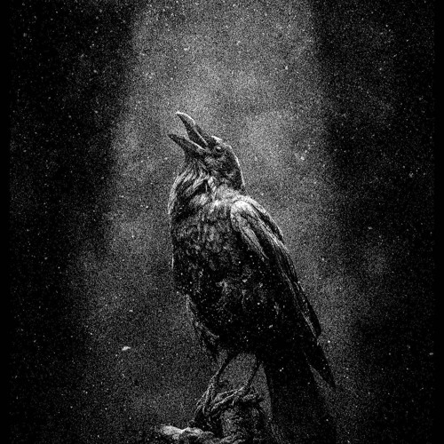 I Don’t Need Nobody’s Help