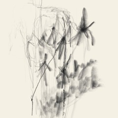 untitled 2