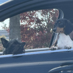 lasting (prod nightiger & szvmek)