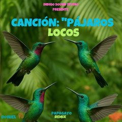 Canción Pájaros Locos ( Crazy Papagayo )