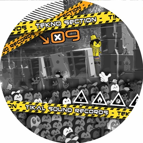 B1. Back2Kick Tikal Sound Records - Acid Birds