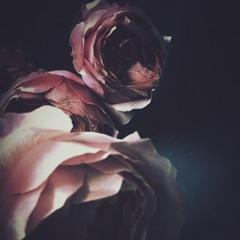 Philip West & Tice - More Than We