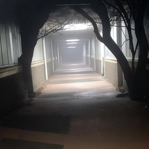 아시발겟다운~~ㅋㅋ