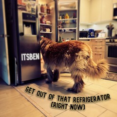 Get Out of that Refrigerator (RIGHT NOW)