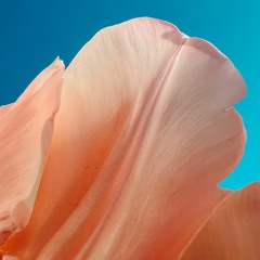 Peps Goldberg // Mother & Child Pt. III