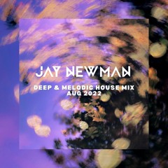 Jay Newman - Deep, Melodic House Mix Aug 2022