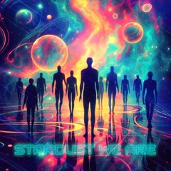 Stardust We Are (feat.V:IHS)