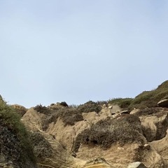 crayon snippet 10-11-24