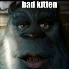 2 emo niggas 1 beatt (FT SS2K¿ )