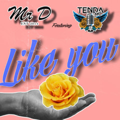 Mr D - Like You (FREE DOWNLOAD)