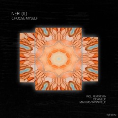 PREMIERE: NERI (IL) - Choose Myself (Extended Mix) [ Polyptych Noir ]