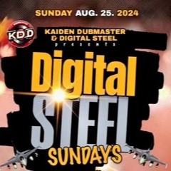 DIGITAL STEEL 8/25/24