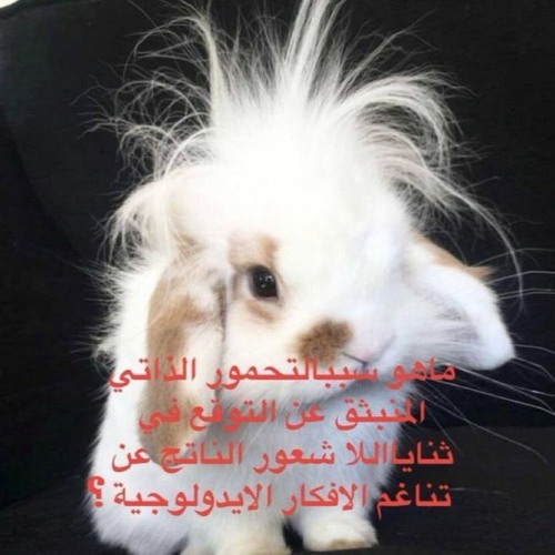 Testigo de jehov^ w/ raulgauchasmewing prod. railgunmanchaschelsea