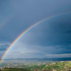 rainboe