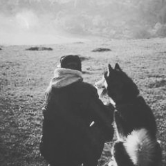 stumbled in the dark