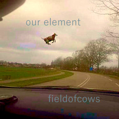 Our Element