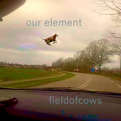 Our Element