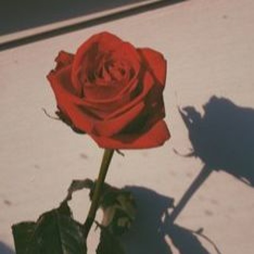 Never Been Alone (Prod. By NEXTLANE)