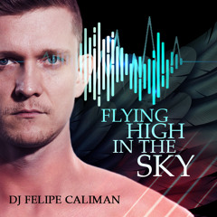 Flying High in the Sky