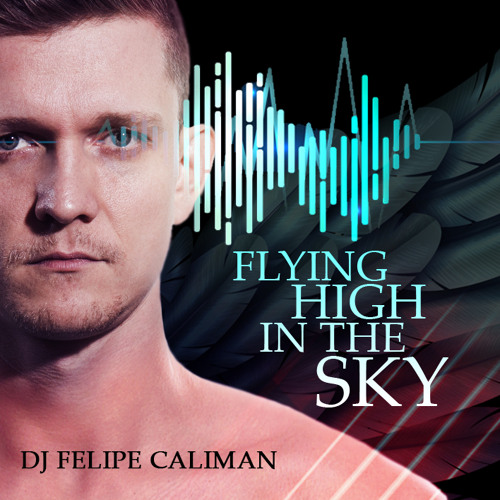 Flying High in the Sky