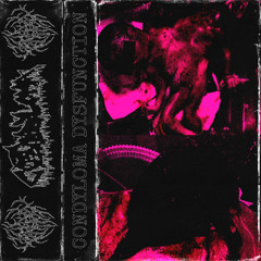 ERECTILE CONDYLOMA (-xXx-split with Condyloma-xXx-)