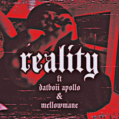 reality ft DATBOII APOLLO & MELLOWMANE