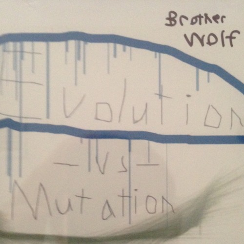 CALM AND STEADY by Brother Wolf (Re-record)