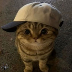 honey feat fukkjax (20alex1s)