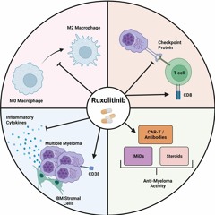 Evaluation of Ruxolitinib, a Janus Kinase Inhibitor, in Multiple Myeloma