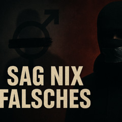 SAG NIX FALSCHES - Sag, was du willst. | (Official Video) | Prod.by Paulina Zecuvic