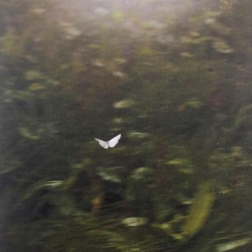 tuned to a dead channel