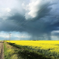 Deep In The Prairies