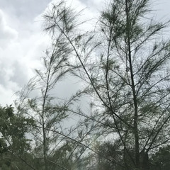 All I Want - Kodaline