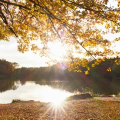 Compassion In A Time Of War Meditation - Jack Kornfield
