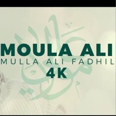 My Love is Ali - انا حبي علي - Ali Fadhil