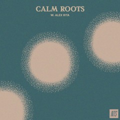 Calm Roots 5 w Alex Rita - The Quietest One