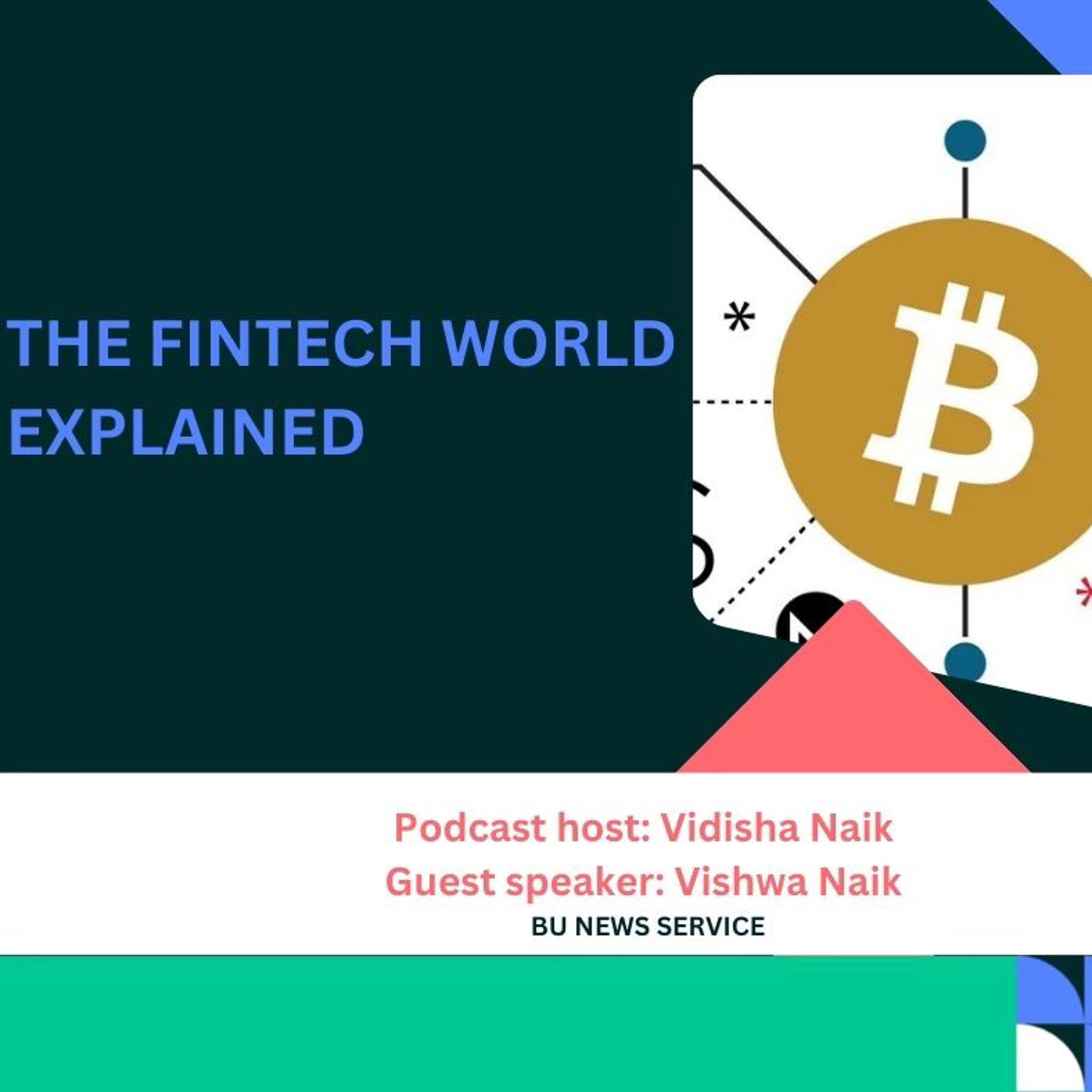 The Fintech World for Dummies episode artwork