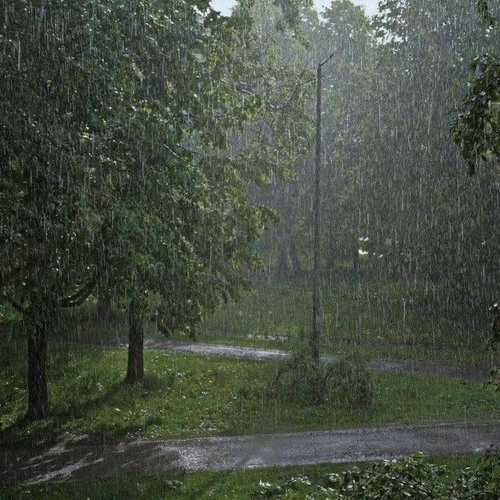 plenka - everything that I cant forget