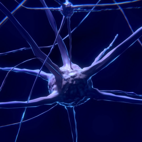 brain jetsam