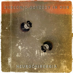 subsonic odyssey in dub