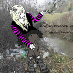 водно болотные .FLAC